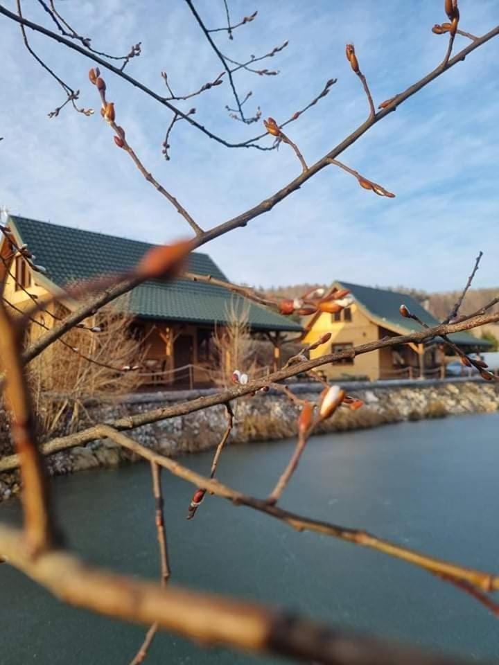 Domki Gorska Zatoka Stronie Slaskie Exterior foto